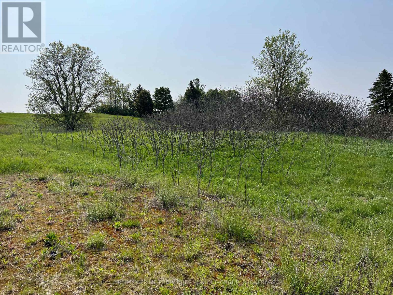 4 Country Place, Kawartha Lakes (Manvers), Ontario  L0A 1A0 - Photo 4 - X5617063