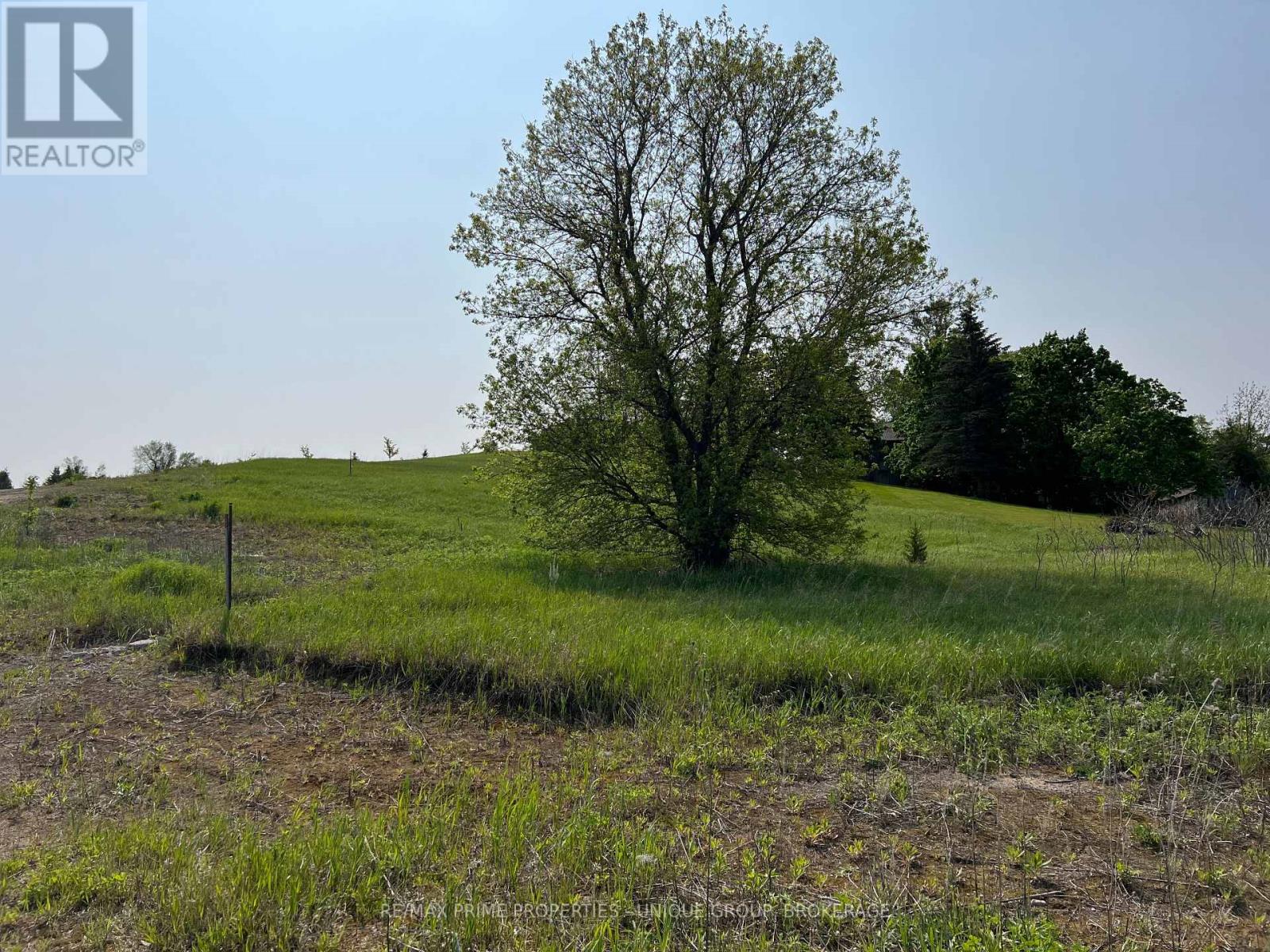 4 Country Place, Kawartha Lakes (Manvers), Ontario  L0A 1A0 - Photo 5 - X5617063