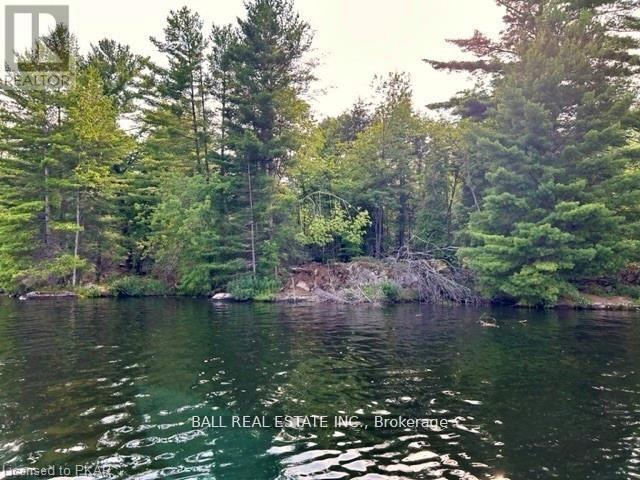 0 Stoney Lake, North Kawartha, Ontario  K0L 3E0 - Photo 16 - X7363876