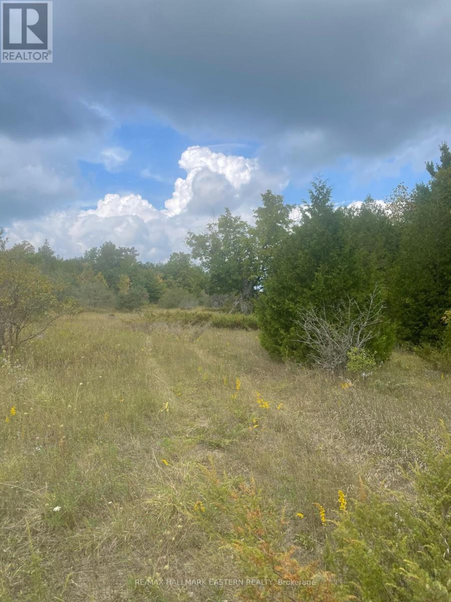 00 Adams-Cummings Road, Trent Lakes, Ontario  K0L 2J0 - Photo 14 - X7392932