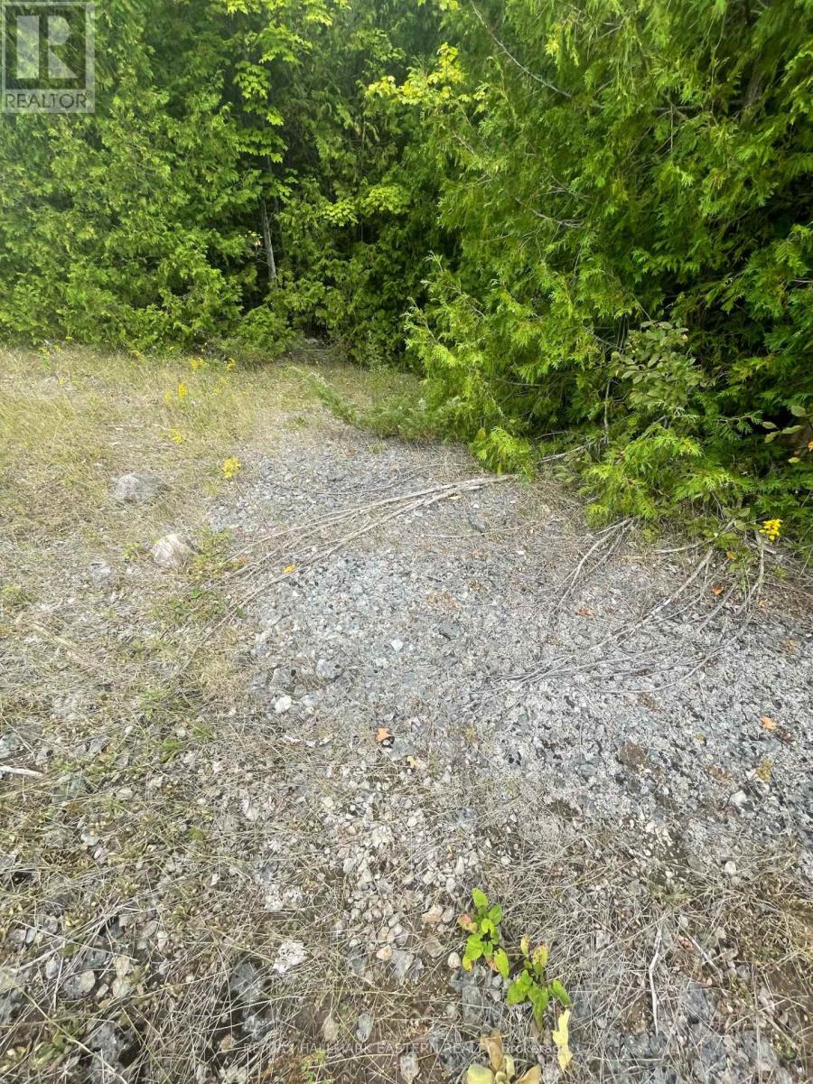 00 Adams-Cummings Road, Trent Lakes, Ontario  K0L 2J0 - Photo 15 - X7392932