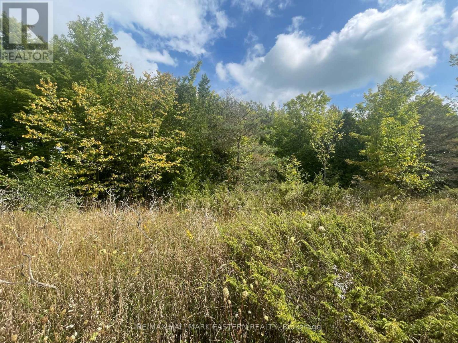 00 Adams-Cummings Road, Trent Lakes, Ontario  K0L 2J0 - Photo 16 - X7392932