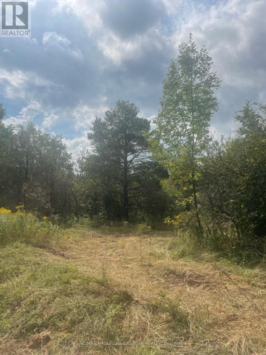 00 Adams-Cummings Road, Trent Lakes, Ontario  K0L 2J0 - Photo 18 - X7392932