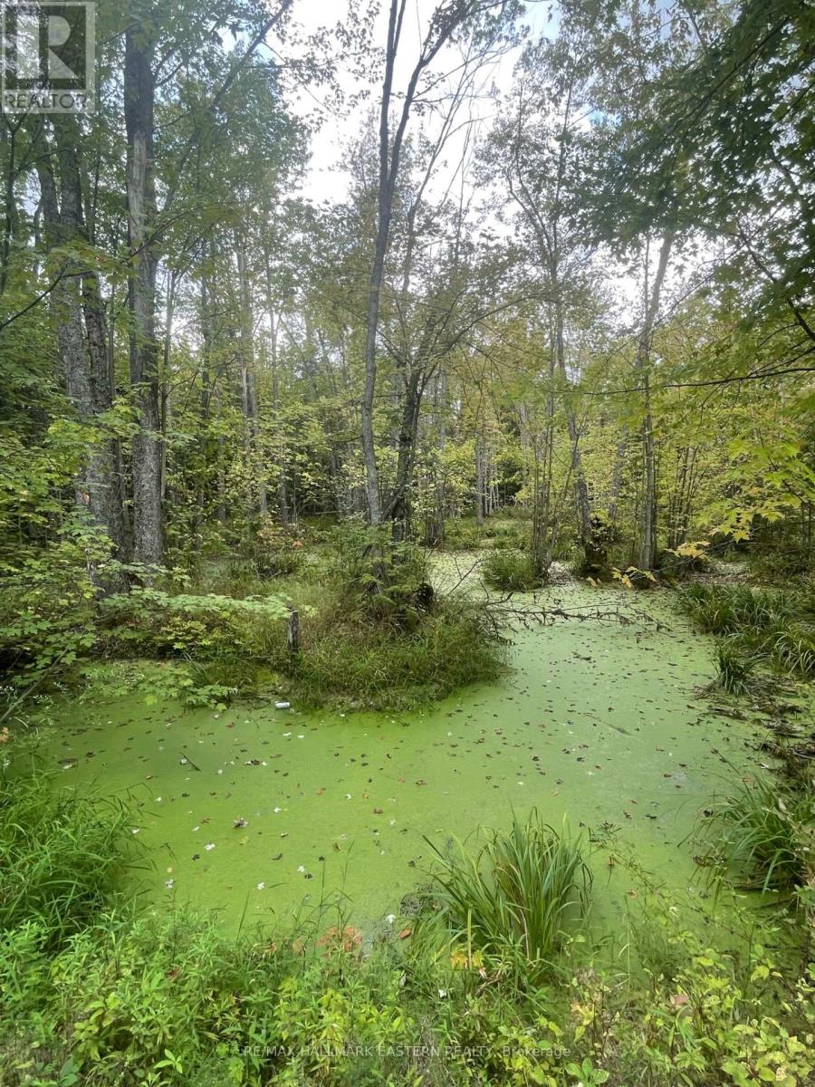 00 Adams-Cummings Road, Trent Lakes, Ontario  K0L 2J0 - Photo 21 - X7392932
