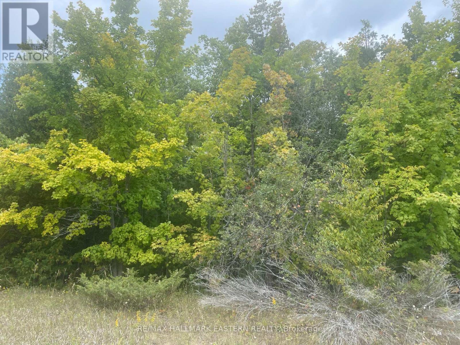 00 Adams-Cummings Road, Trent Lakes, Ontario  K0L 2J0 - Photo 23 - X7392932