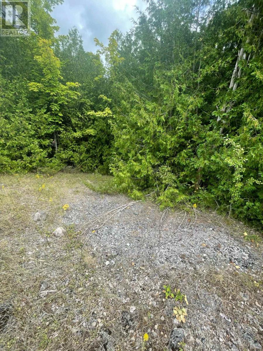 00 Adams-Cummings Road, Trent Lakes, Ontario  K0L 2J0 - Photo 25 - X7392932