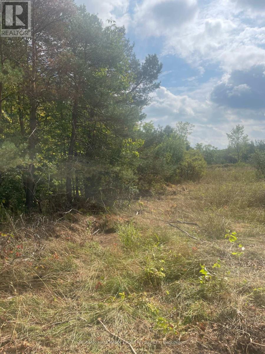 00 Adams-Cummings Road, Trent Lakes, Ontario  K0L 2J0 - Photo 32 - X7392932