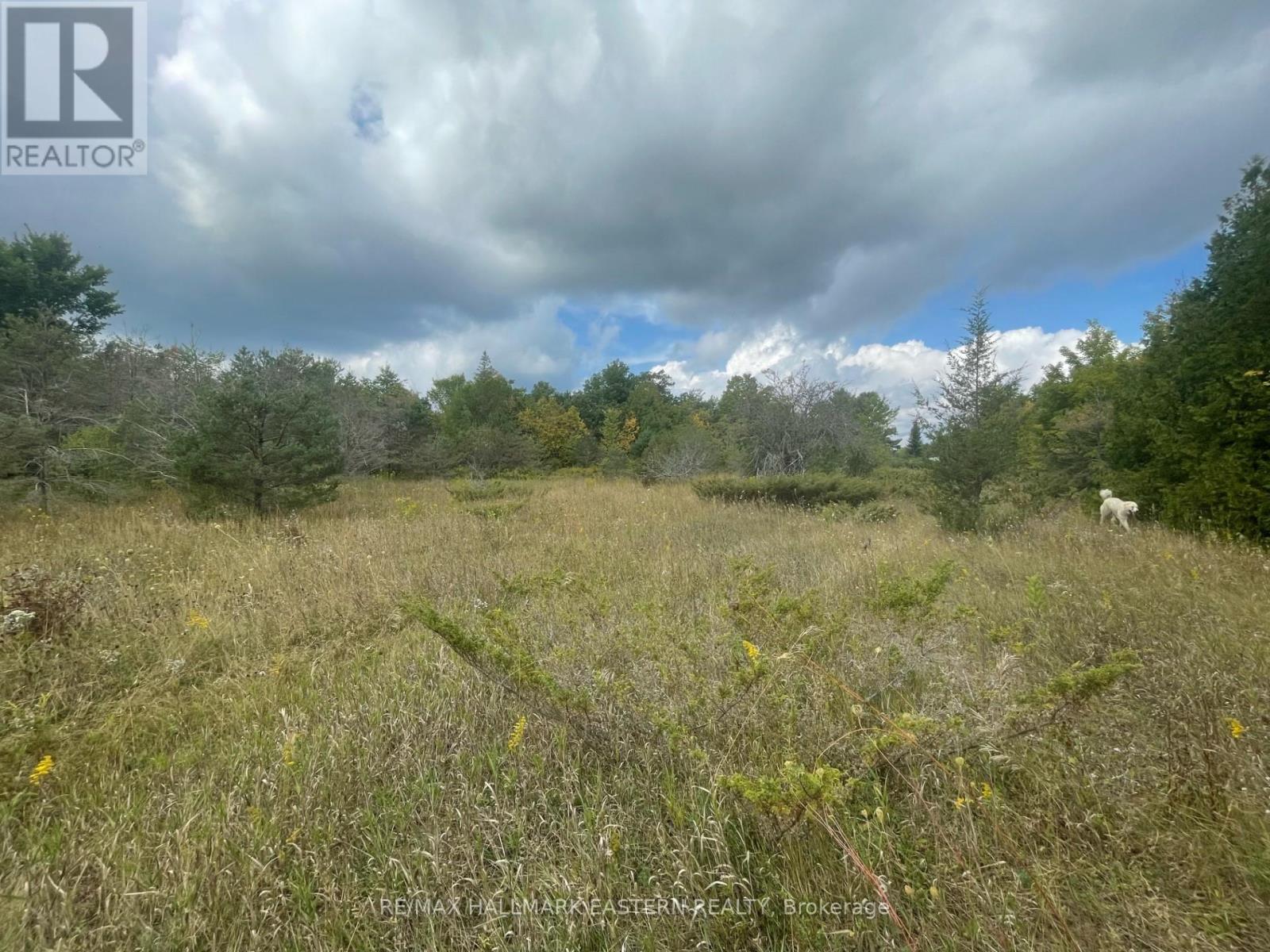 00 Adams-Cummings Road, Galway-Cavendish And Harvey, Ontario  K0L 2J0 - Photo 7 - X7392932