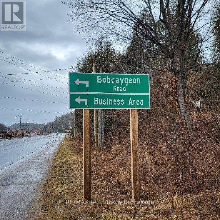 0 Bobcaygeon Road, Minden Hills, Ontario  K0L 2K0 - Photo 13 - X8028716