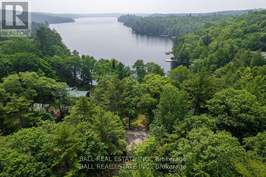 1207 Anst Lake Wao, North Kawartha, Ontario  K0L 1A0 - Photo 12 - X8108314