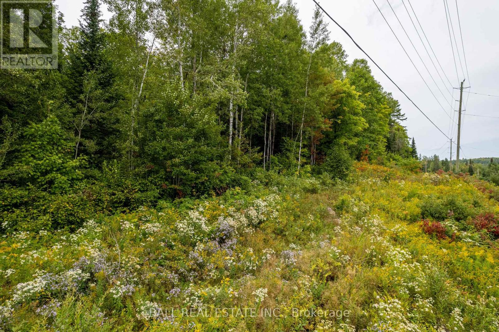 Lot 29 Highway 62 W, Hastings Highlands (Bancroft Ward), Ontario  K0L 1C0 - Photo 15 - X8289666