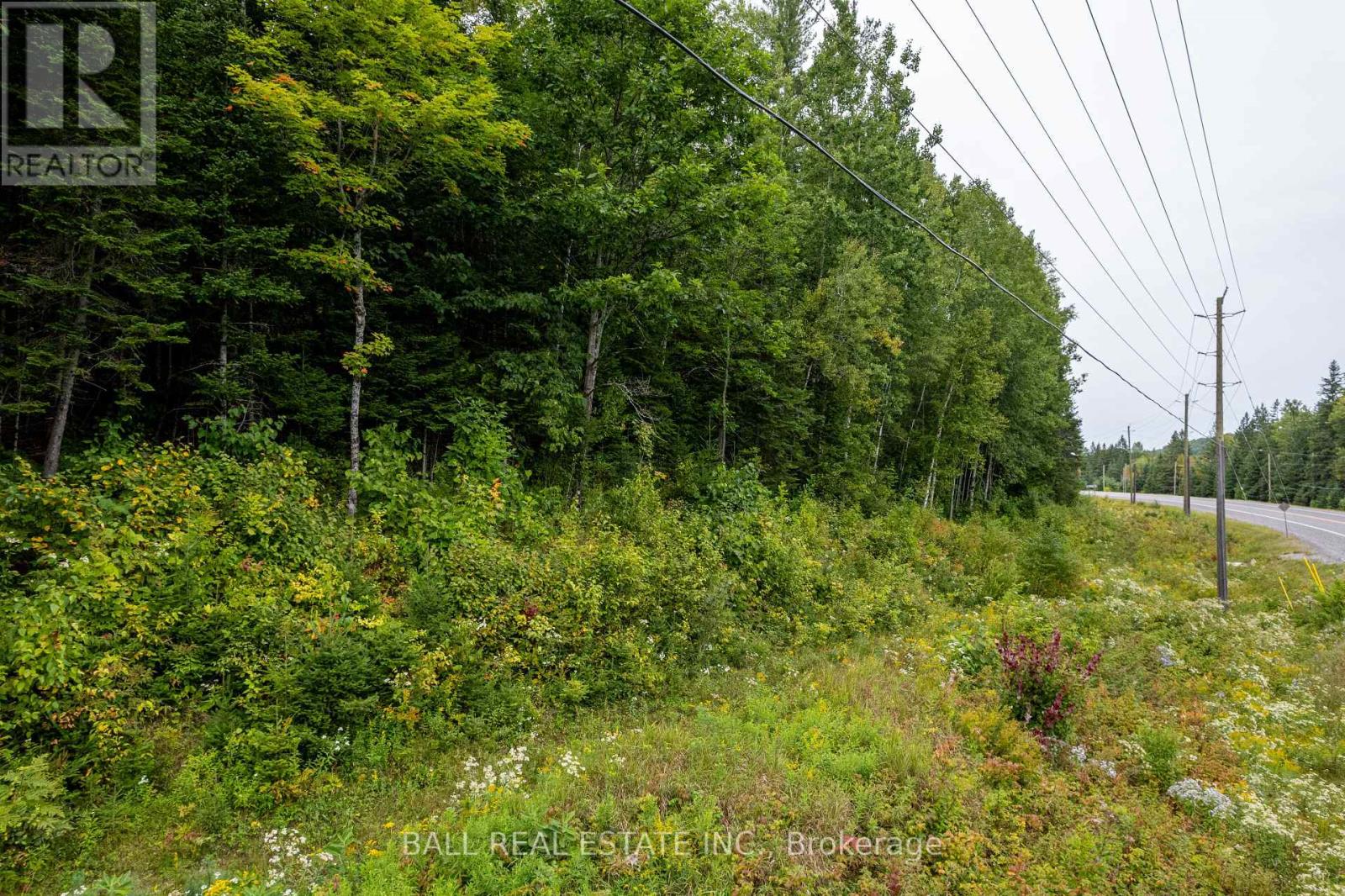 Lot 29 Highway 62 W, Hastings Highlands (Bancroft Ward), Ontario  K0L 1C0 - Photo 16 - X8289666