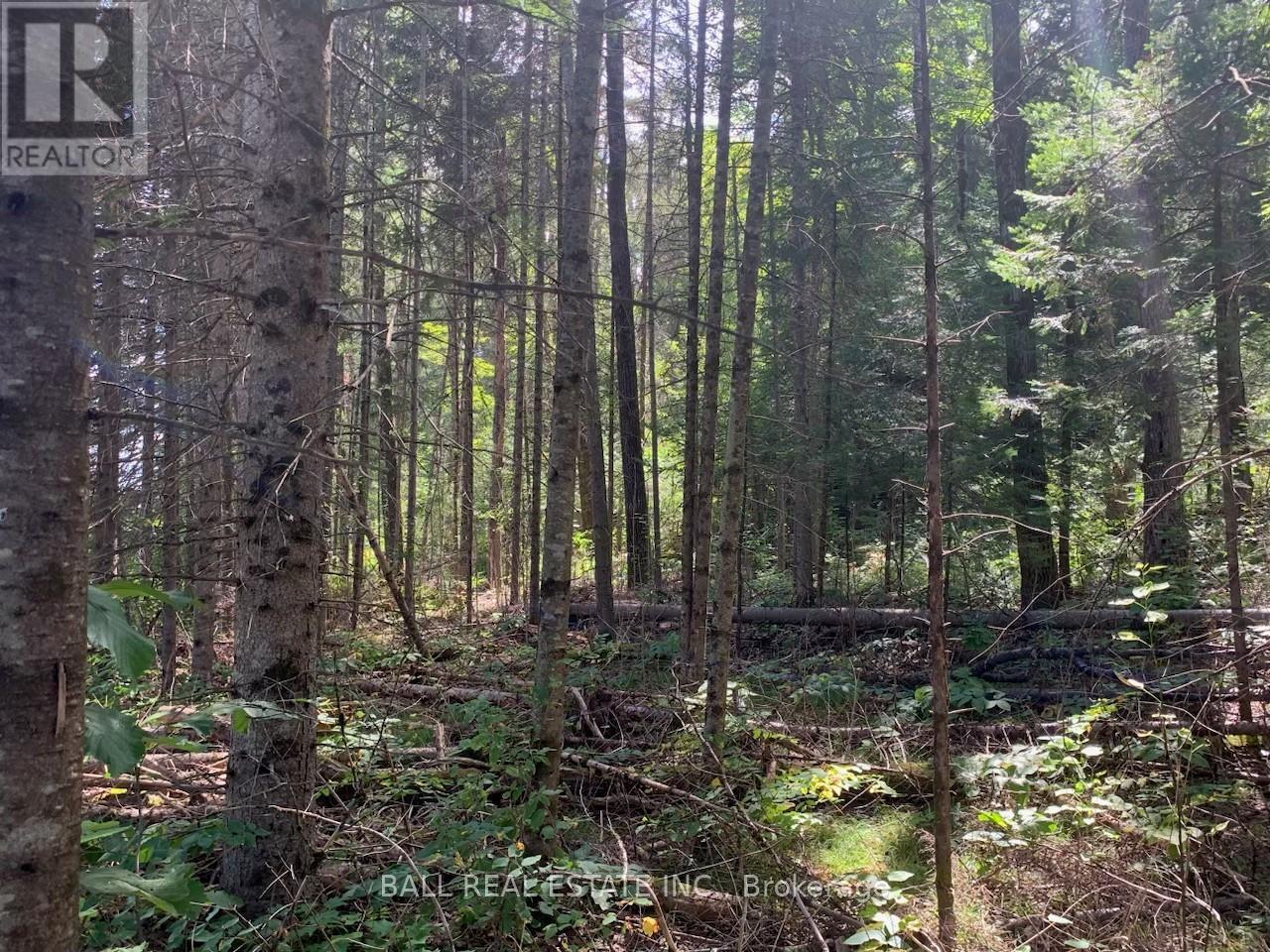 Lot 29 Highway 62 W, Hastings Highlands (Bancroft Ward), Ontario  K0L 1C0 - Photo 3 - X8289666