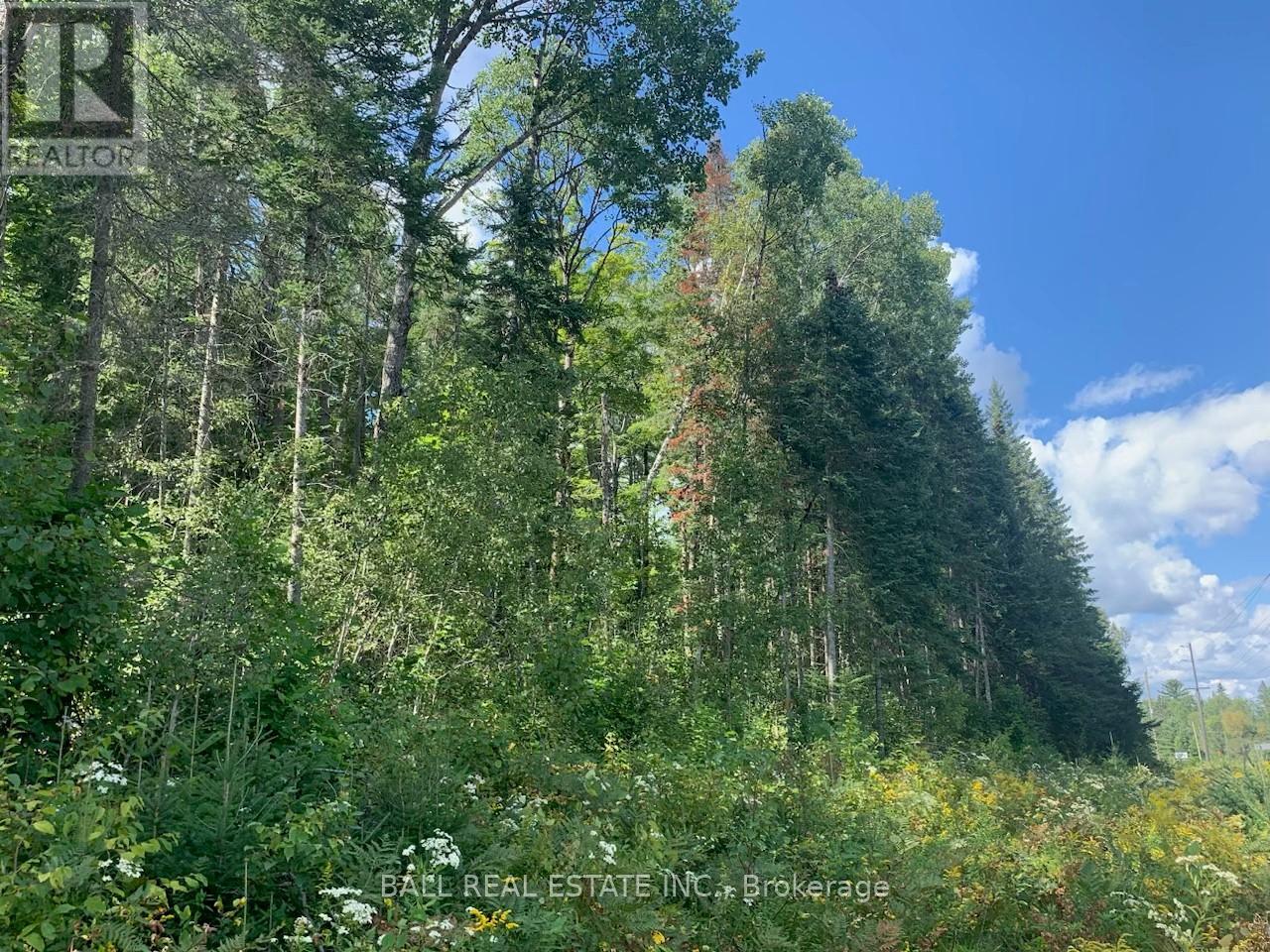 Lot 29 Highway 62 W, Hastings Highlands (Bancroft Ward), Ontario  K0L 1C0 - Photo 4 - X8289666