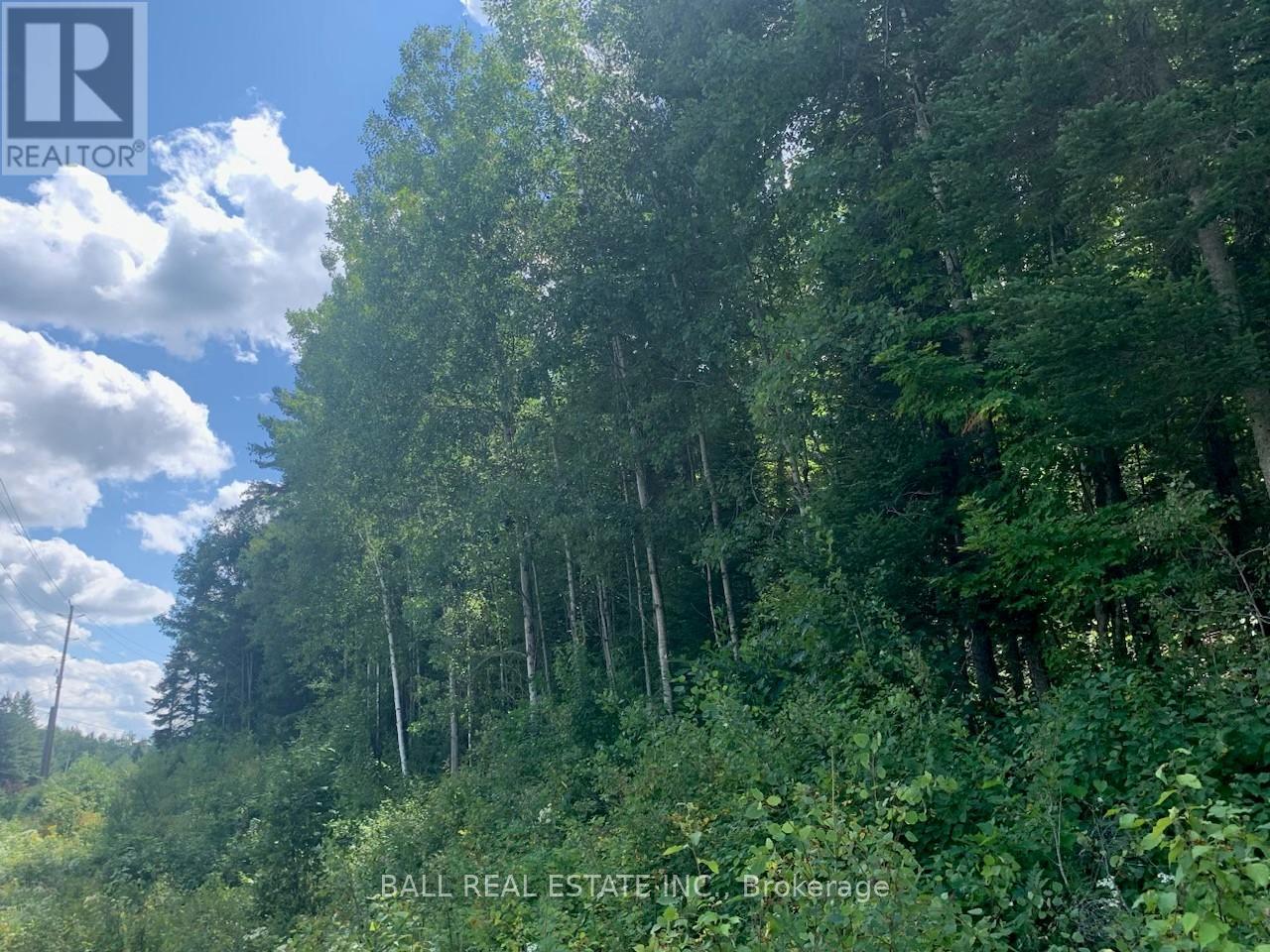 Lot 29 Highway 62 W, Hastings Highlands (Bancroft Ward), Ontario  K0L 1C0 - Photo 5 - X8289666