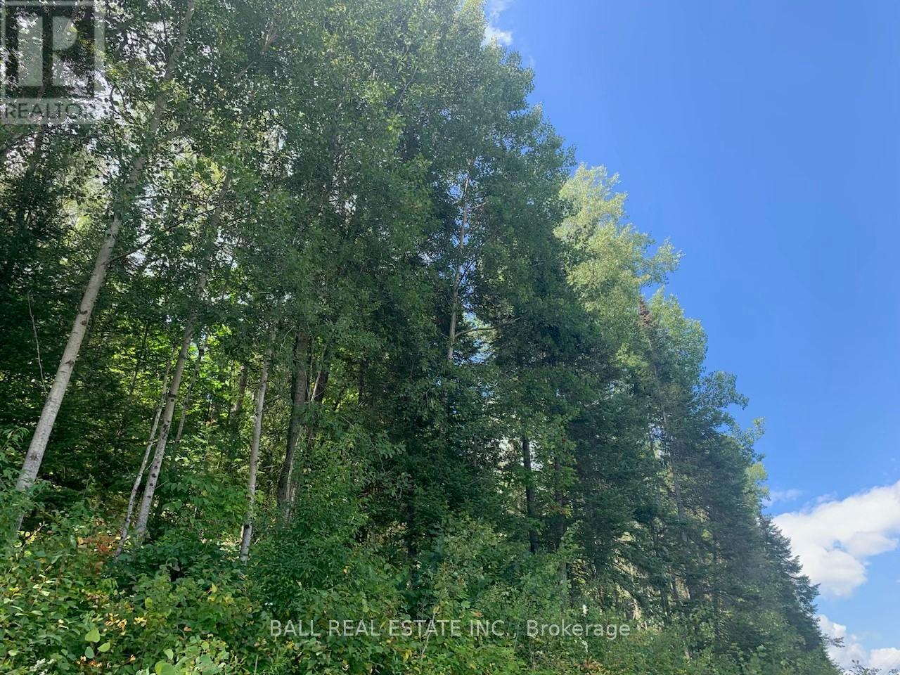 Lot 29 Highway 62 W, Hastings Highlands (Bancroft Ward), Ontario  K0L 1C0 - Photo 6 - X8289666