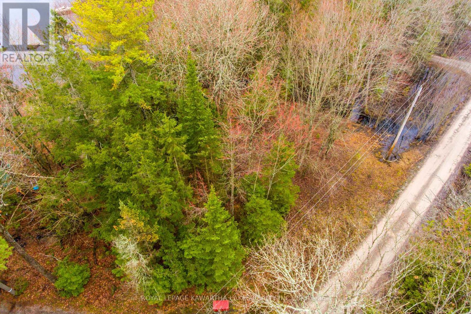 Lt 25 Woodworth Drive, Kawartha Lakes (Somerville), Ontario  K9V 4Y4 - Photo 14 - X9035746