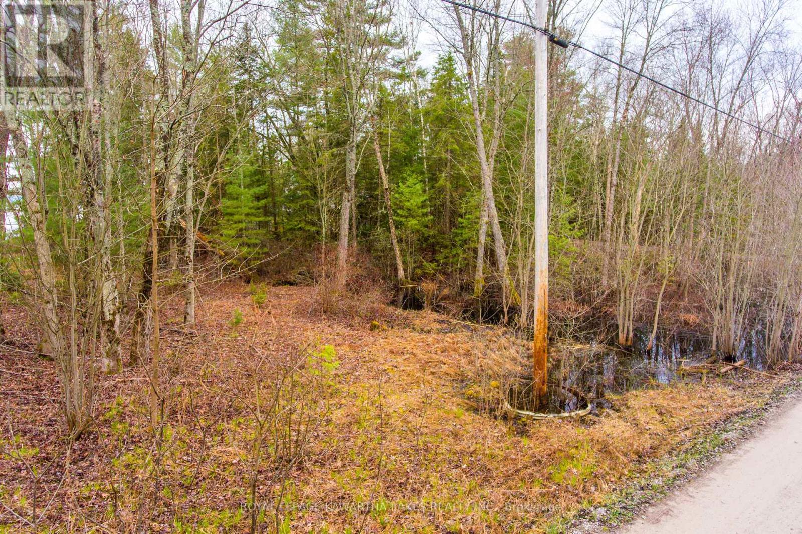 Lt 25 Woodworth Drive, Kawartha Lakes (Somerville), Ontario  K9V 4Y4 - Photo 16 - X9035746