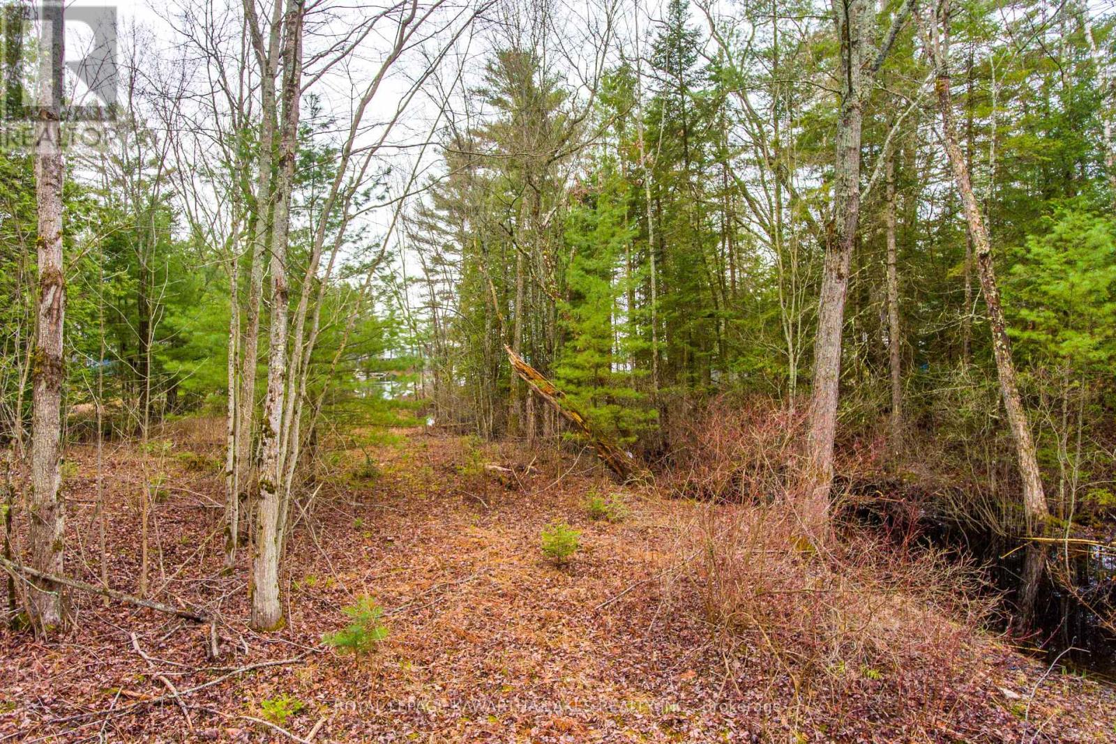 Lt 25 Woodworth Drive, Kawartha Lakes (Somerville), Ontario  K9V 4Y4 - Photo 17 - X9035746