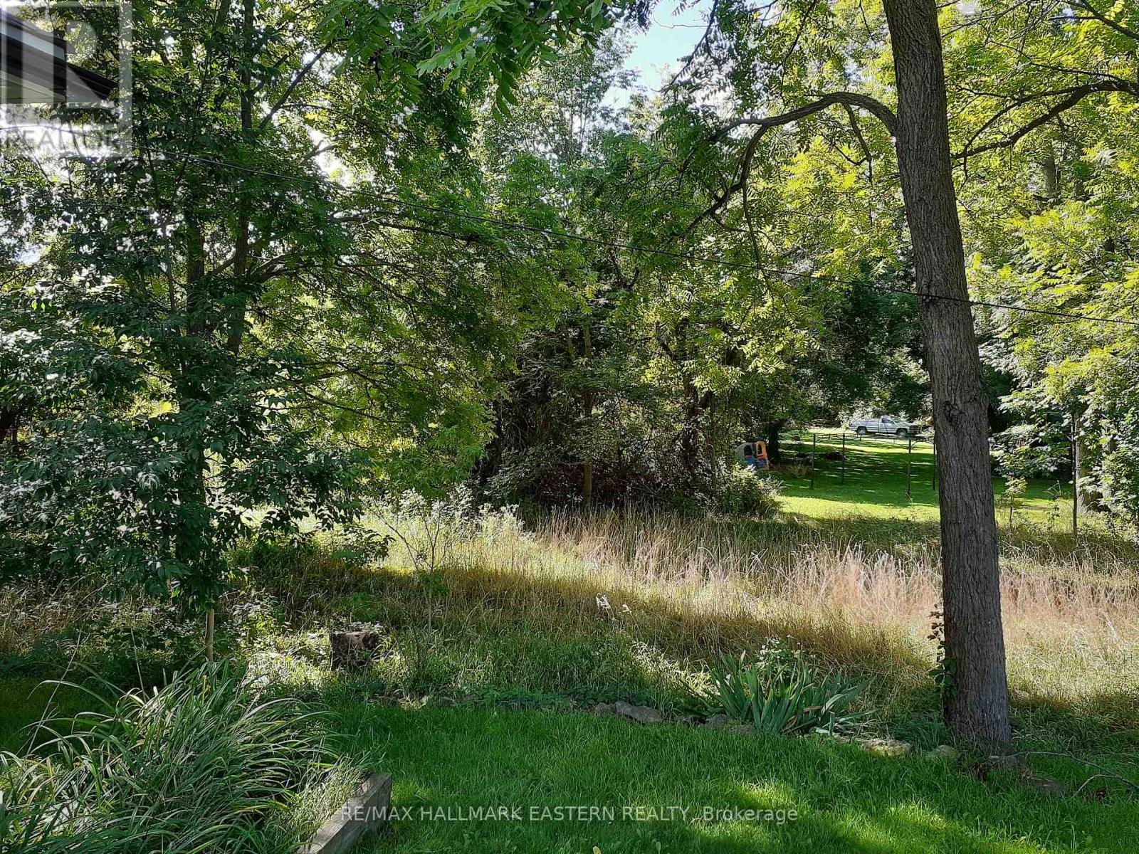 227 A Queen Street, Selwyn, Ontario  K0L 2H0 - Photo 2 - X9260497