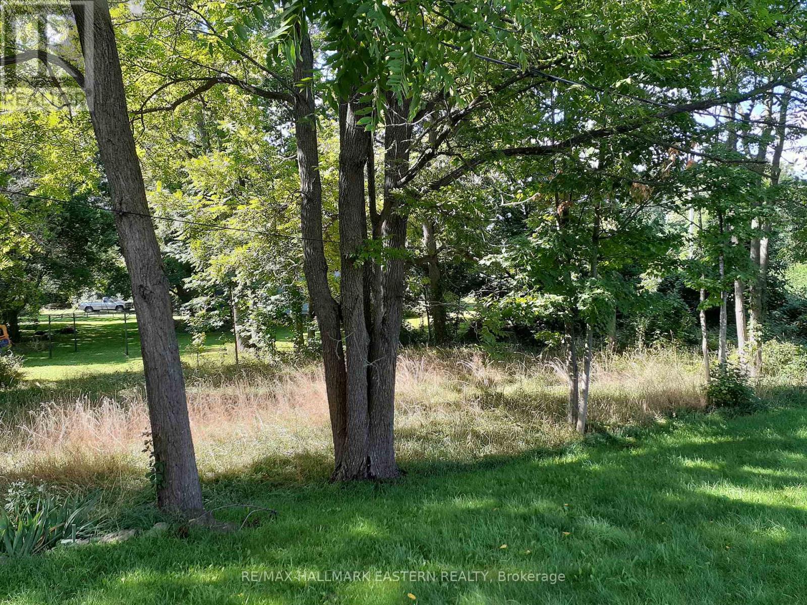 227 A Queen Street, Selwyn, Ontario  K0L 2H0 - Photo 3 - X9260497