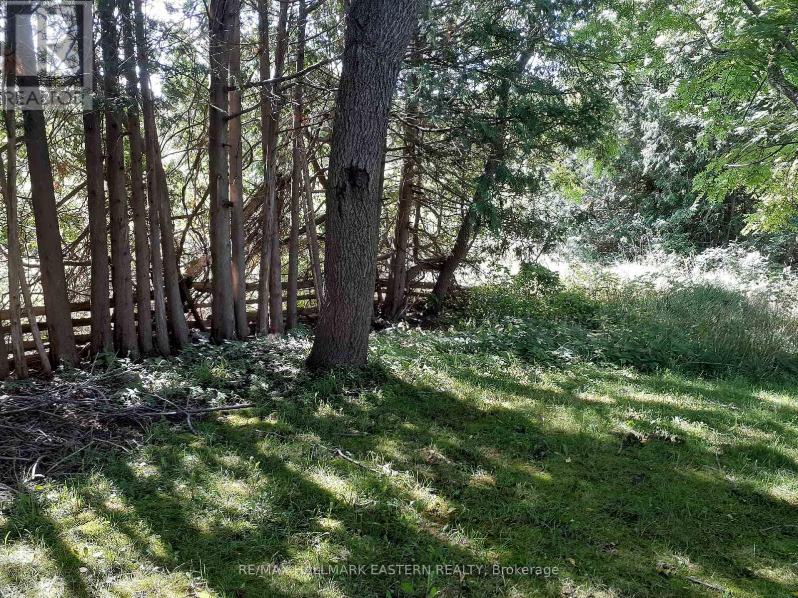 227 A Queen Street, Selwyn, Ontario  K0L 2H0 - Photo 4 - X9260497