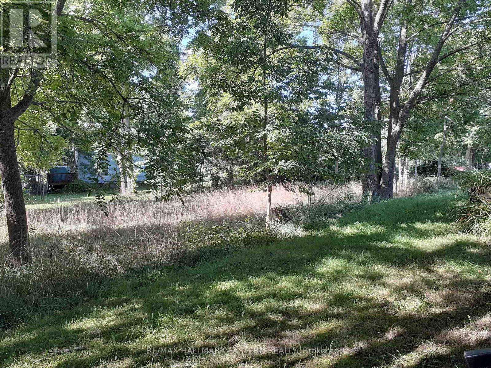 227 A Queen Street, Selwyn, Ontario  K0L 2H0 - Photo 5 - X9260497