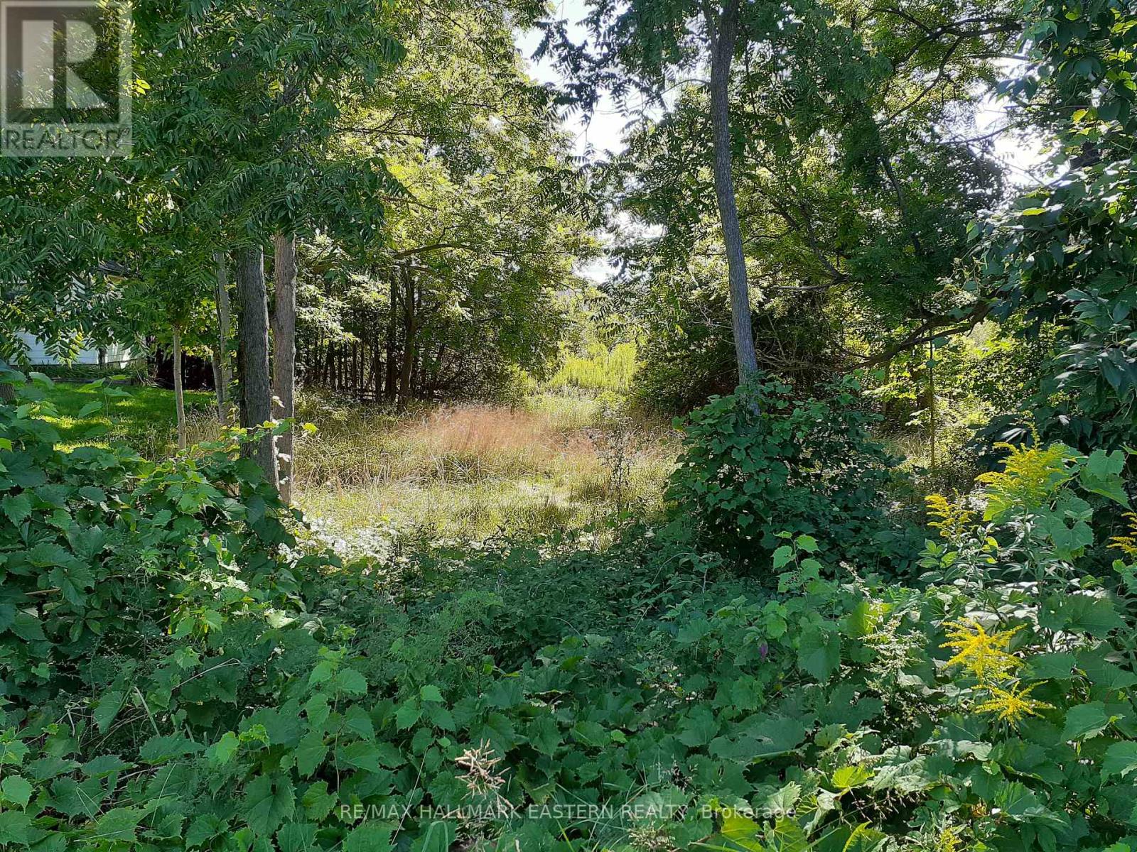227 A Queen Street, Selwyn, Ontario  K0L 2H0 - Photo 6 - X9260497