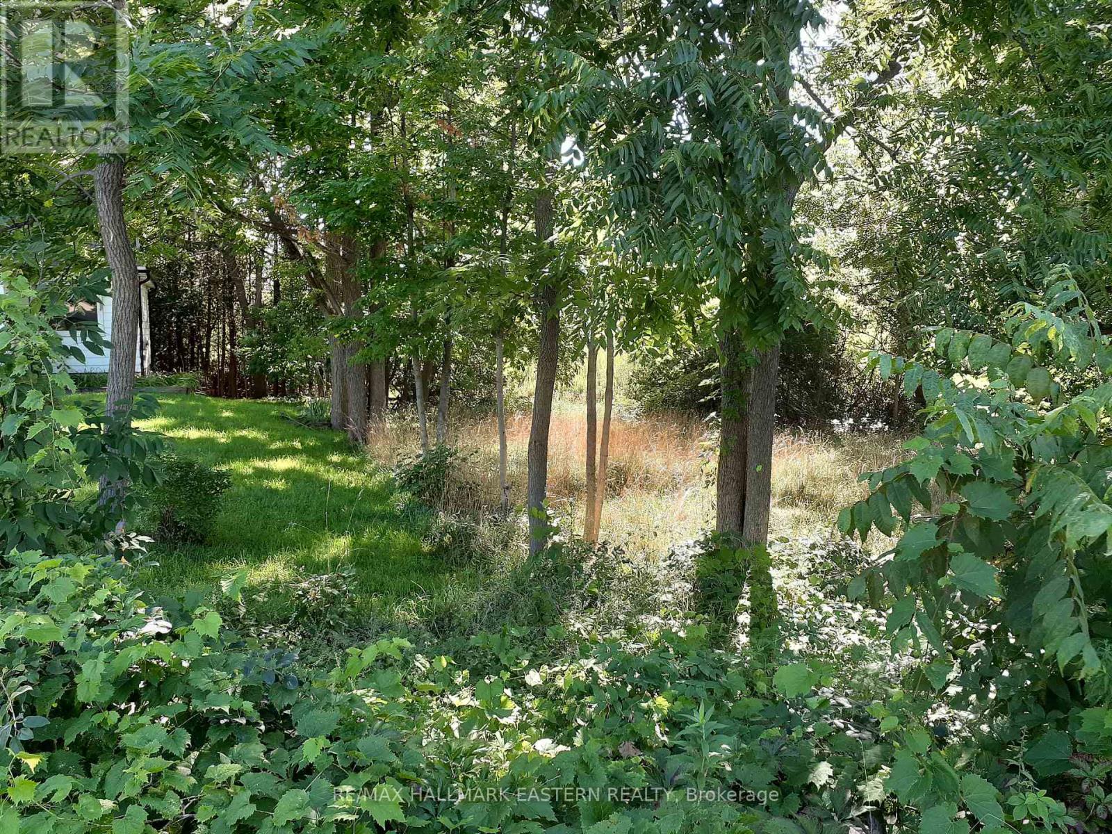 227 A Queen Street, Selwyn, Ontario  K0L 2H0 - Photo 7 - X9260497