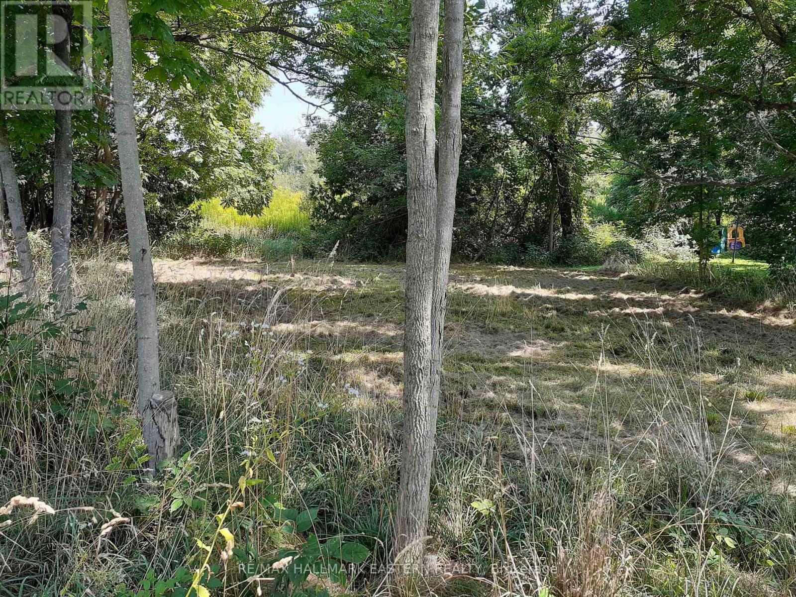 227 A Queen Street, Selwyn, Ontario  K0L 2H0 - Photo 8 - X9260497