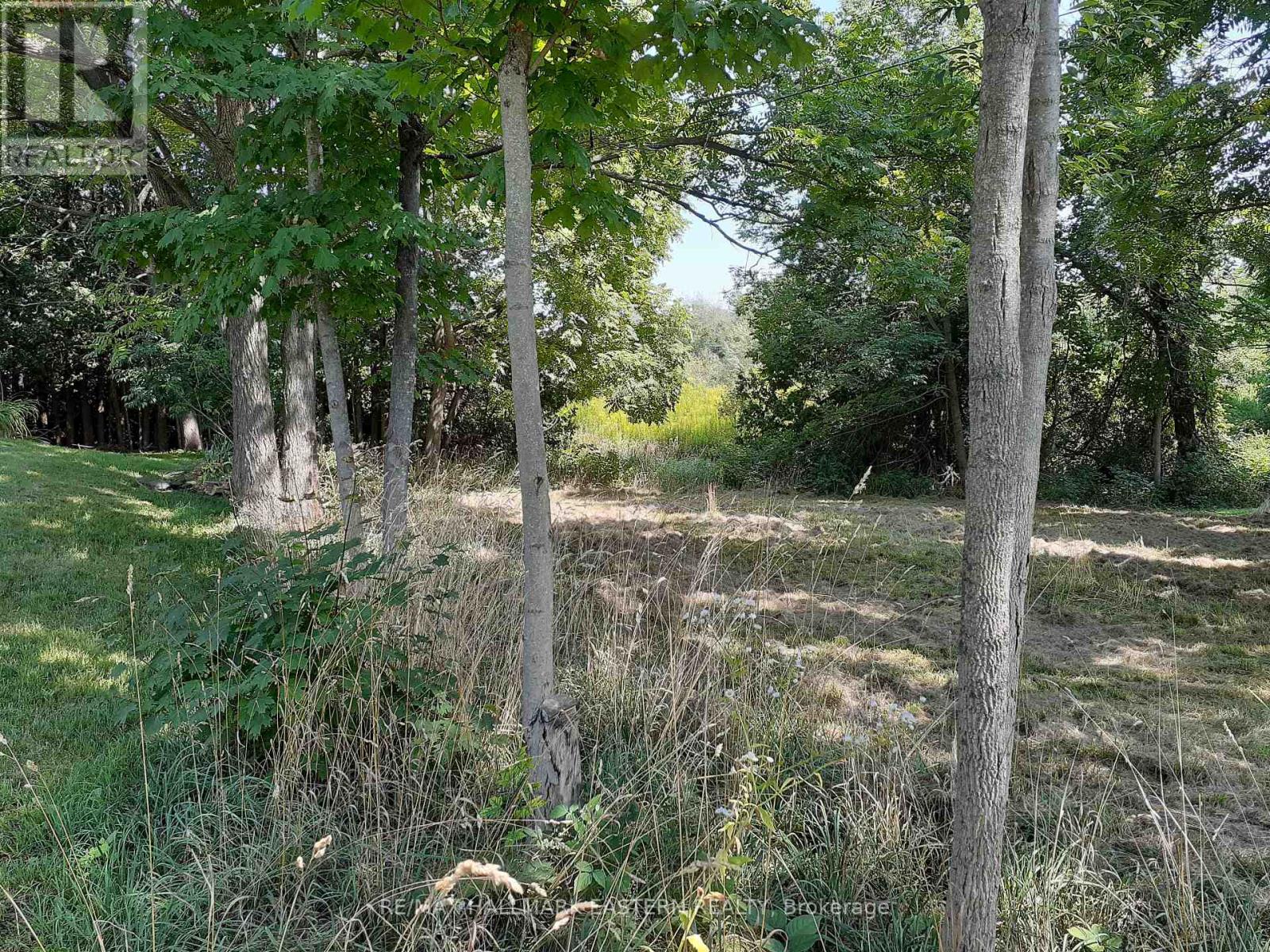 227 A Queen Street, Selwyn, Ontario  K0L 2H0 - Photo 9 - X9260497