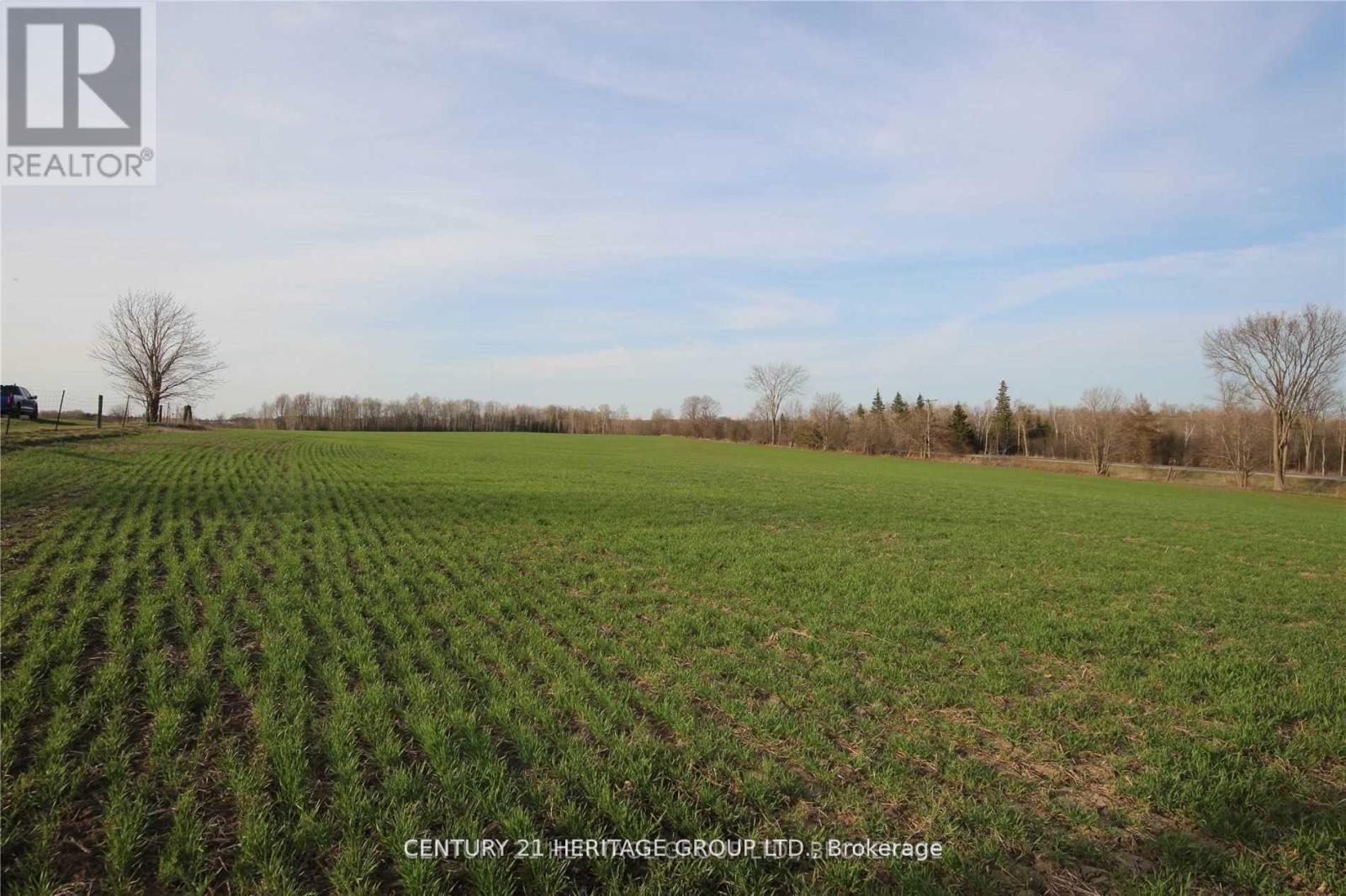 4 Stoney Creek Road E, Kawartha Lakes (Ops), Ontario  K9V 4R4 - Photo 3 - X9398891