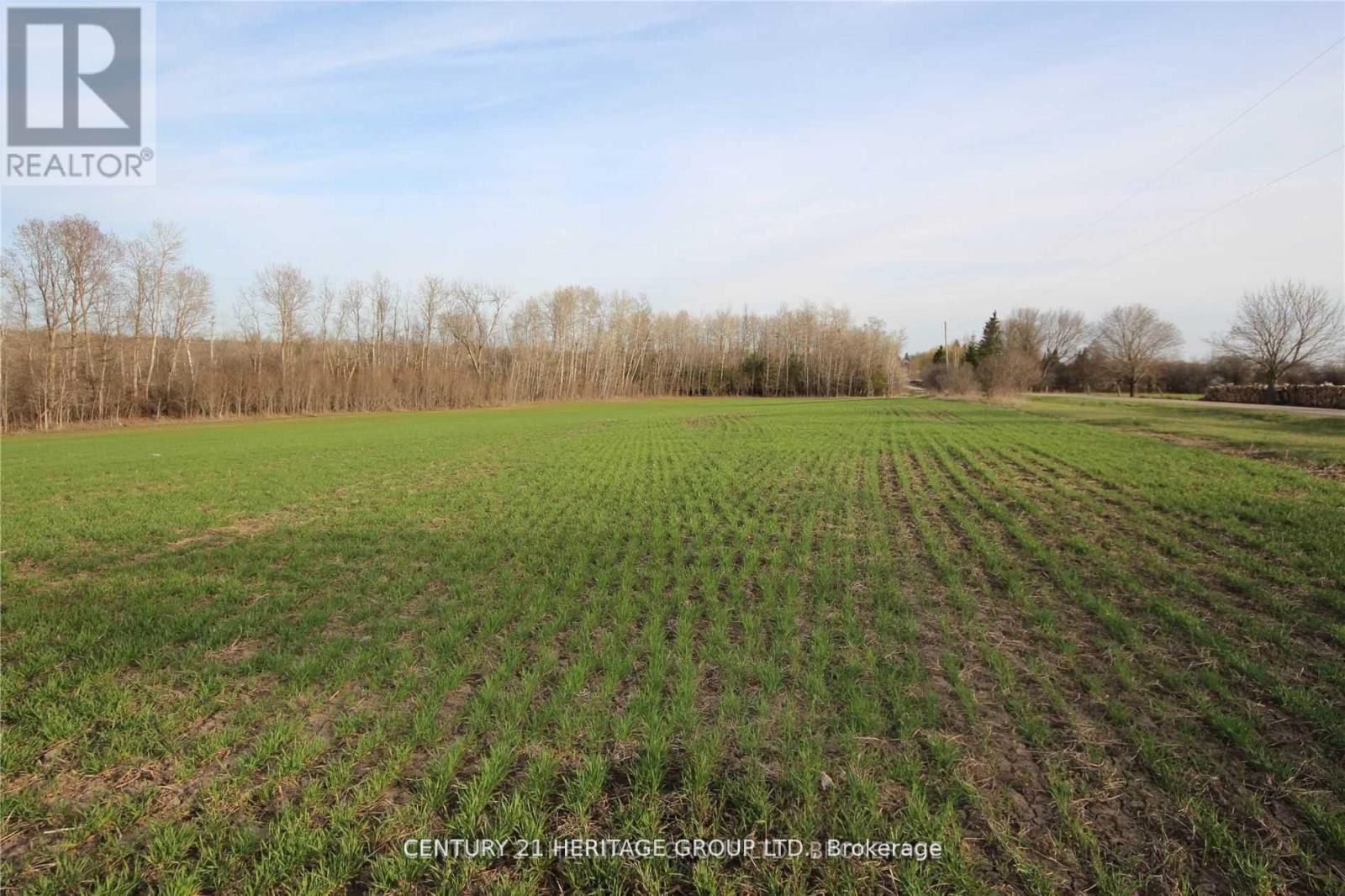 4 Stoney Creek Road E, Kawartha Lakes (Ops), Ontario  K9V 4R4 - Photo 4 - X9398891