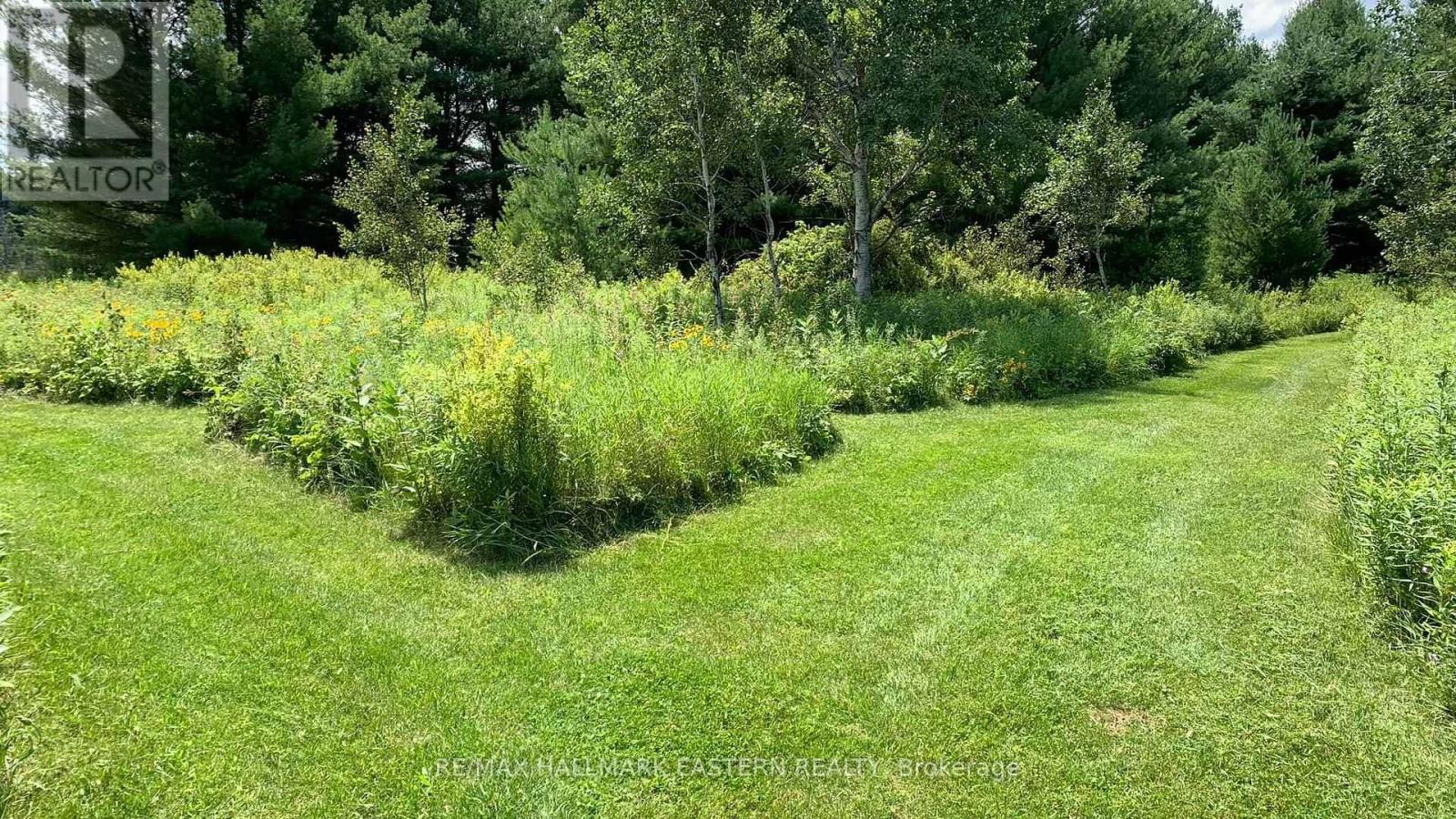 31 3rd Line, Havelock-Belmont-Methuen (Belmont-Methuen), Ontario  K0L 1Z0 - Photo 12 - X9514521