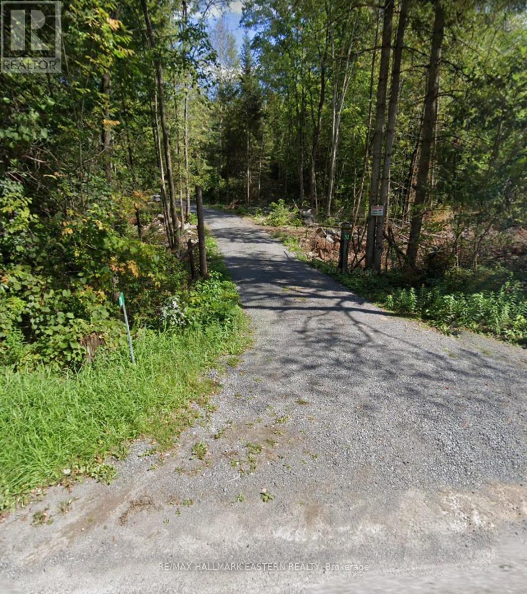 31 3rd Line, Havelock-Belmont-Methuen (Belmont-Methuen), Ontario  K0L 1Z0 - Photo 15 - X9514521