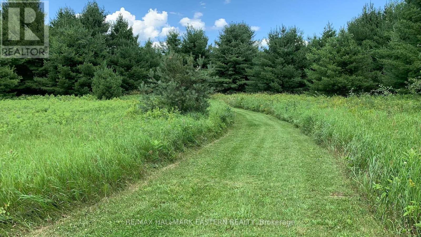 31 3rd Line, Havelock-Belmont-Methuen (Belmont-Methuen), Ontario  K0L 1Z0 - Photo 16 - X9514521