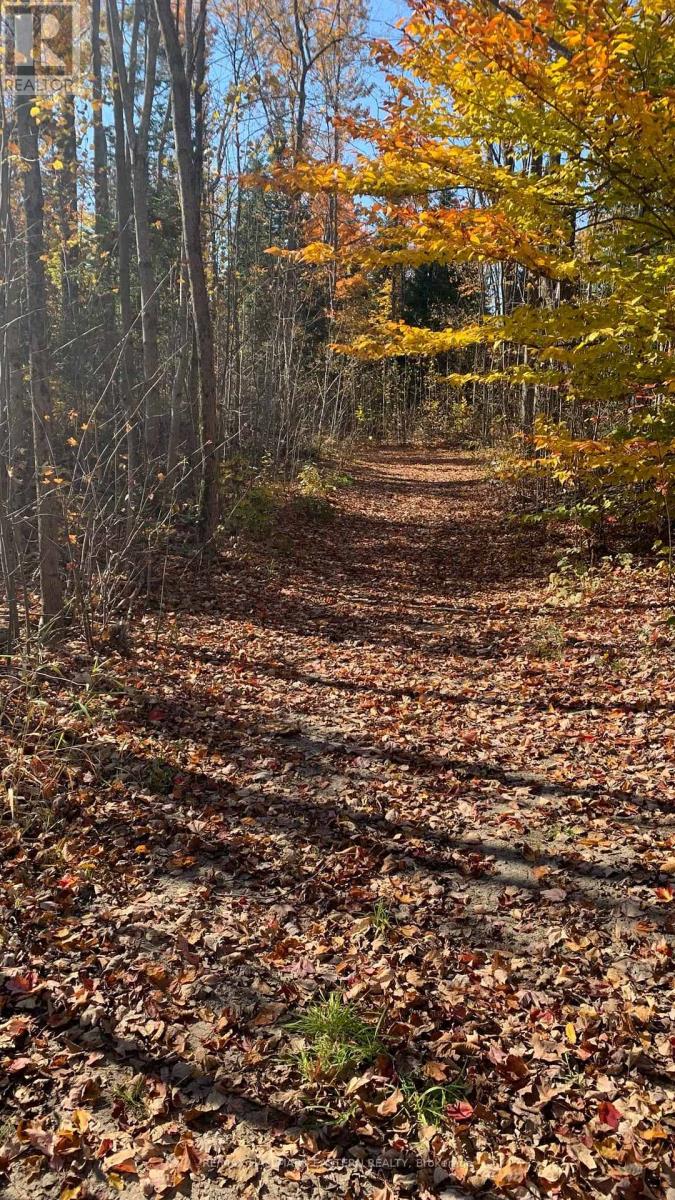 31 3rd Line, Havelock-Belmont-Methuen (Belmont-Methuen), Ontario  K0L 1Z0 - Photo 2 - X9514521