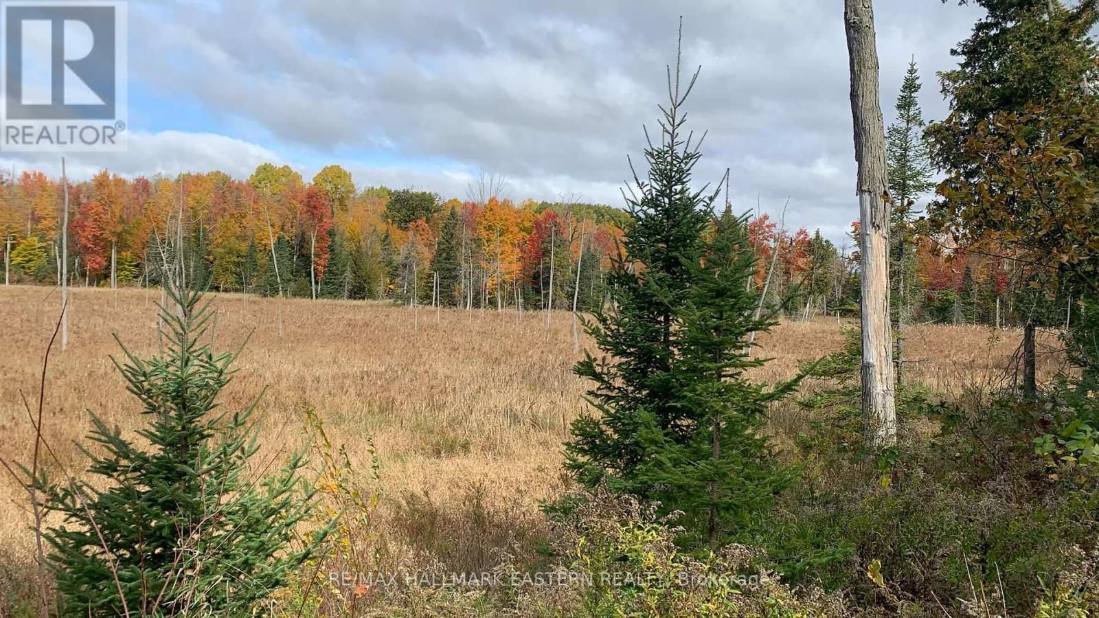 31 3rd Line, Havelock-Belmont-Methuen (Belmont-Methuen), Ontario  K0L 1Z0 - Photo 4 - X9514521