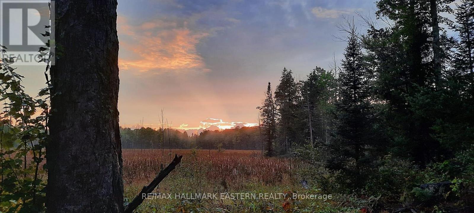 31 3rd Line, Havelock-Belmont-Methuen (Belmont-Methuen), Ontario  K0L 1Z0 - Photo 6 - X9514521