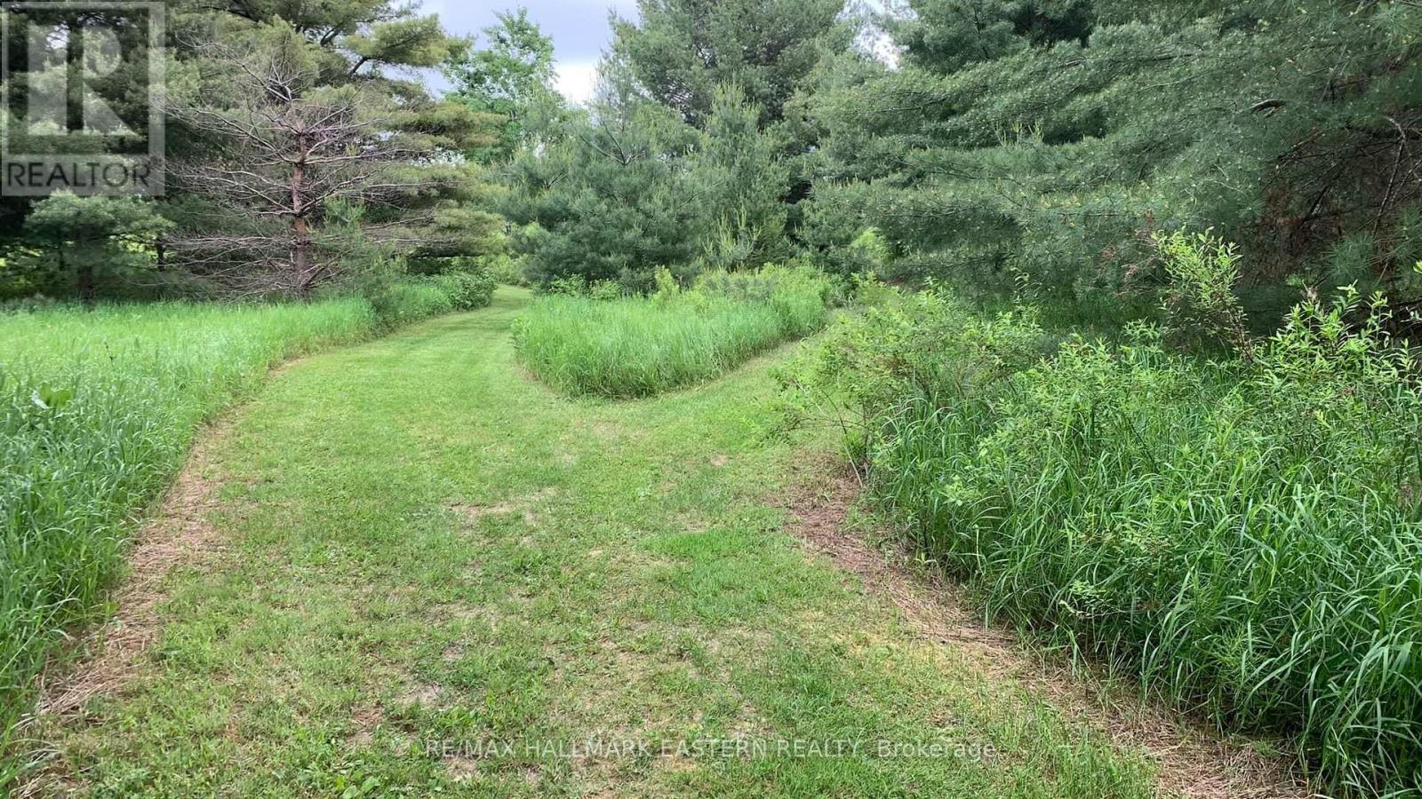 31 3rd Line, Havelock-Belmont-Methuen (Belmont-Methuen), Ontario  K0L 1Z0 - Photo 7 - X9514521