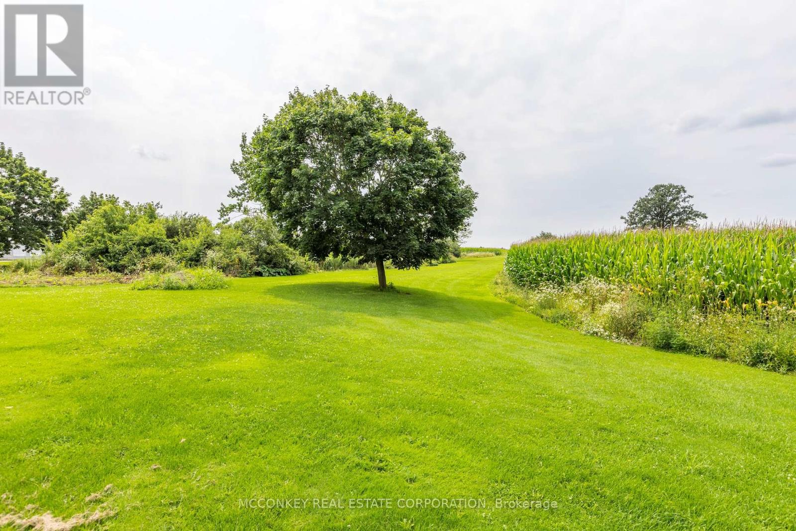 1878 Keene Road, Otonabee-South Monaghan, Ontario  K9J 6X9 - Photo 28 - X10224689