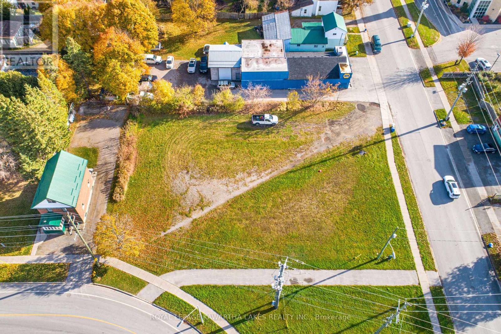 44 Victoria Avenue S, Kawartha Lakes (Lindsay), Ontario  K9V 3E1 - Photo 6 - X10410072