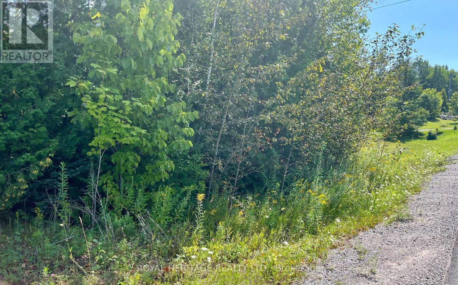 0 Sumcot Drive, Trent Lakes, Ontario  K9J 6X2 - Photo 10 - X11045900