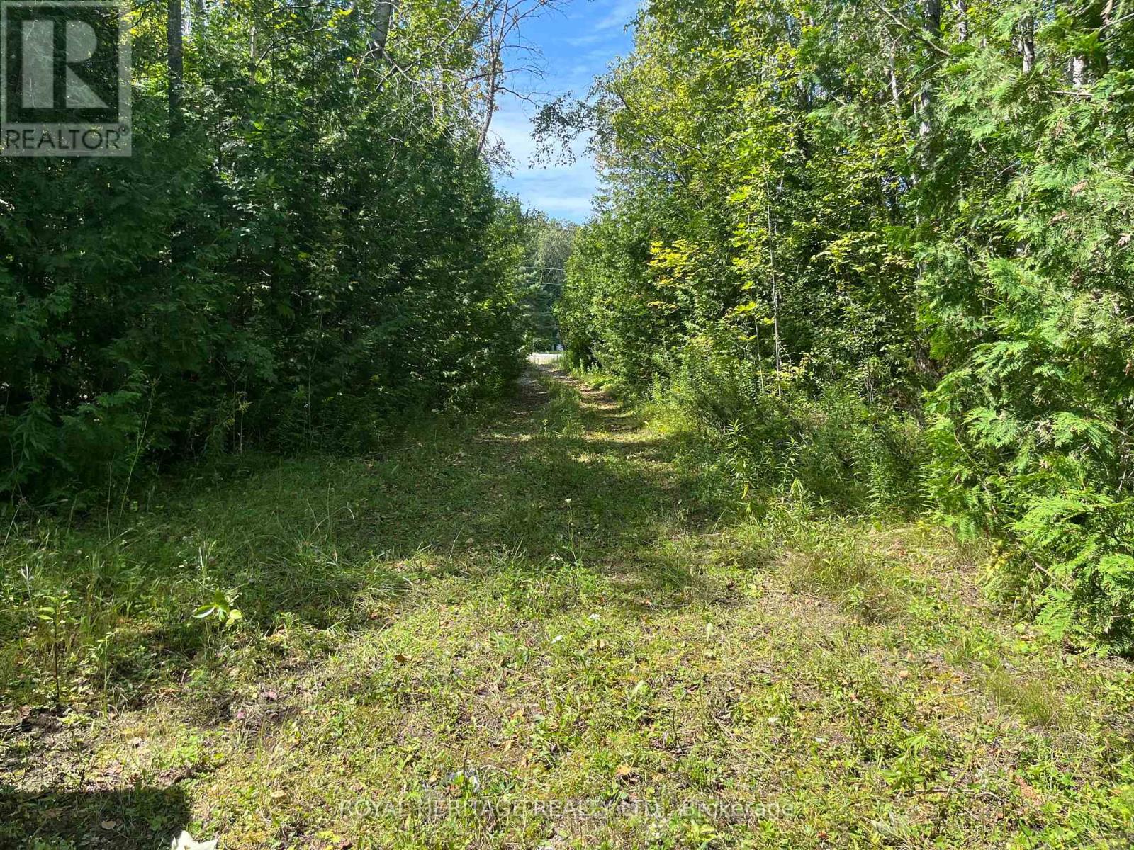 0 Sumcot Drive, Trent Lakes, Ontario  K9J 6X2 - Photo 6 - X11045900
