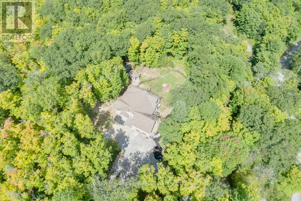 800 Jeffrey Lake Road, Faraday, Ontario  K0L 1C0 - Photo 30 - X11882745