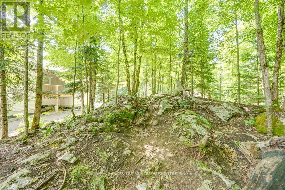 800 Jeffrey Lake Road, Faraday, Ontario  K0L 1C0 - Photo 33 - X11882745