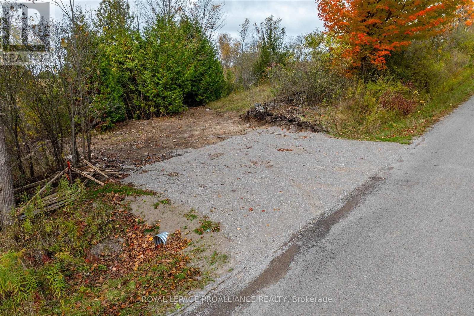 0 Centre Line, Selwyn, Ontario  K0L 2H0 - Photo 19 - X11886719