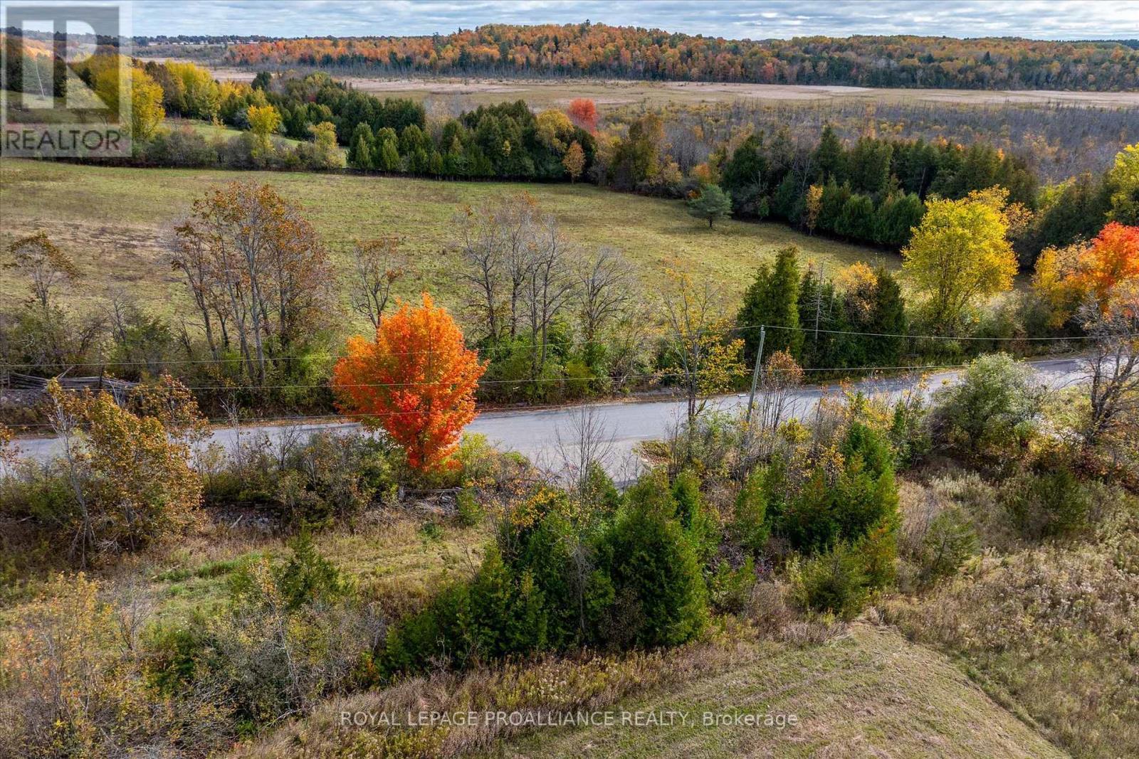 0 Centre Line, Selwyn, Ontario  K0L 2H0 - Photo 21 - X11886719