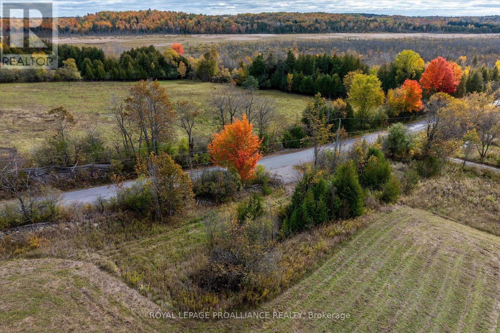 0 Centre Line, Selwyn, Ontario  K0L 2H0 - Photo 22 - X11886719