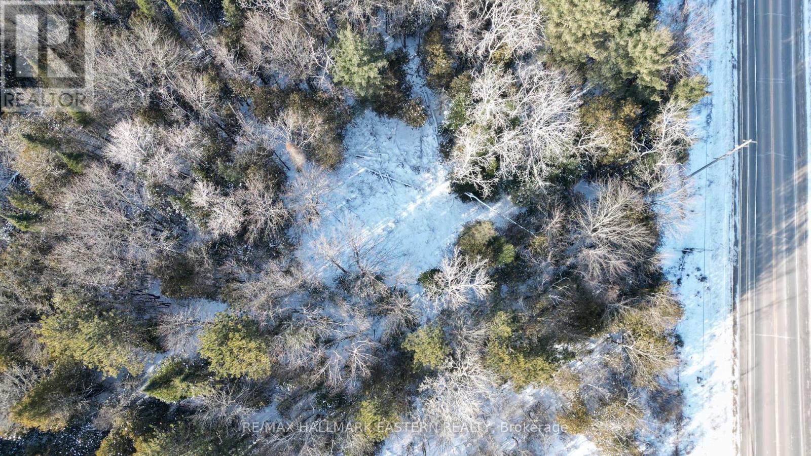 N/a County Road 46, Havelock-Belmont-Methuen (Belmont-Methuen), Ontario  K0L 1Z0 - Photo 4 - X11909834